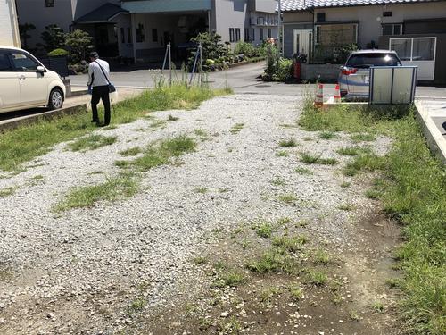 除草.jpg