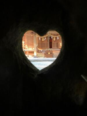 IMG_7036.jpg