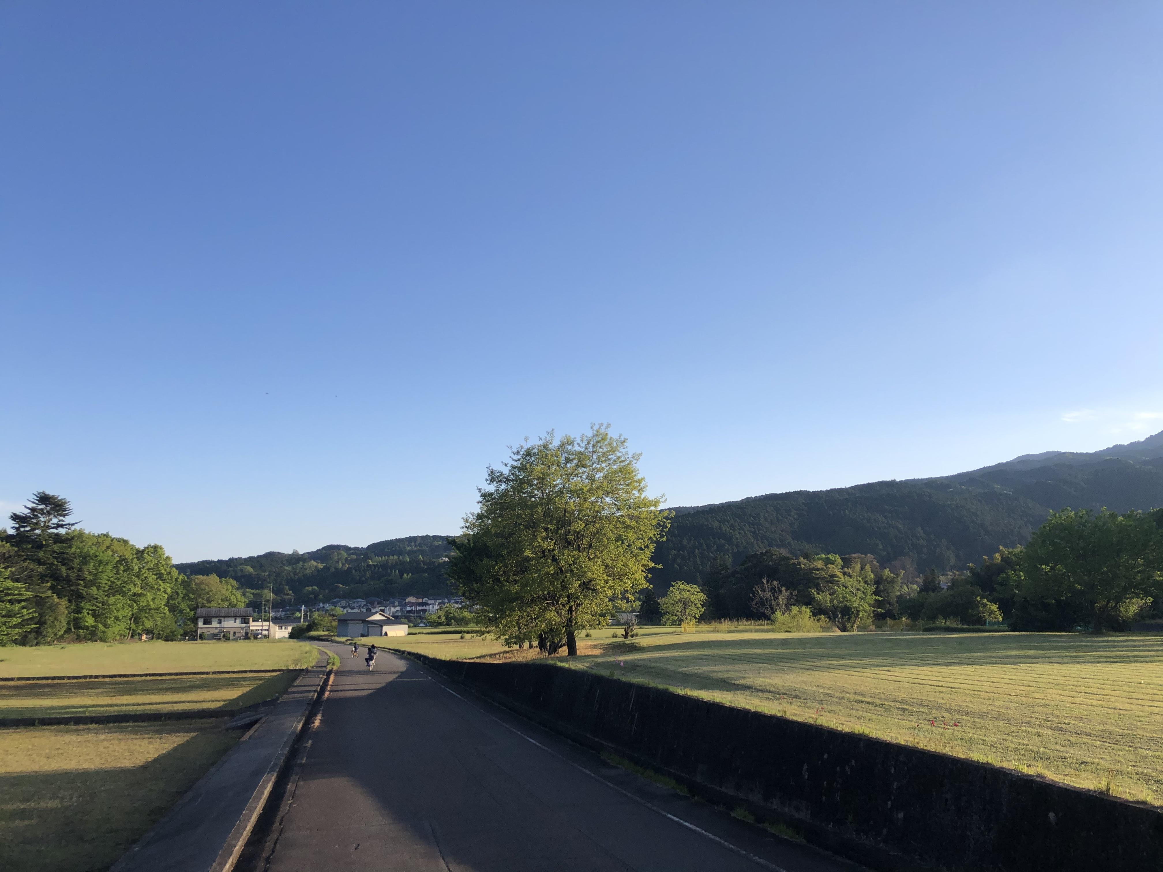 A732E897-AB51-4A54-BFAA-B396C38FEC16.jpeg